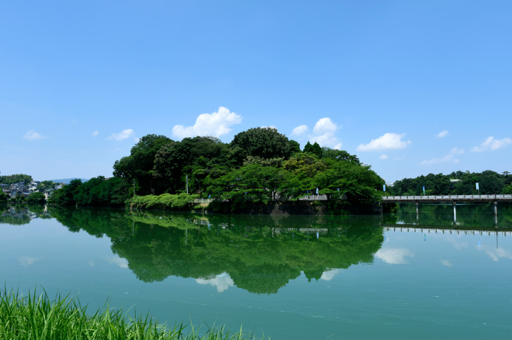 蛙股池