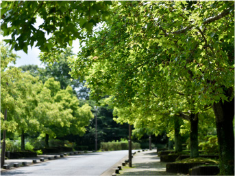 生駒山麓公園・・・徒歩25分（約1,950ｍ）